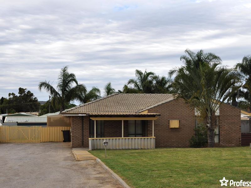 11 Bartlett Street, Spalding WA 6530