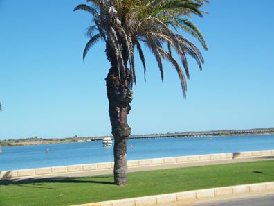 111 Olivia Terrace, South Carnarvon WA 6701