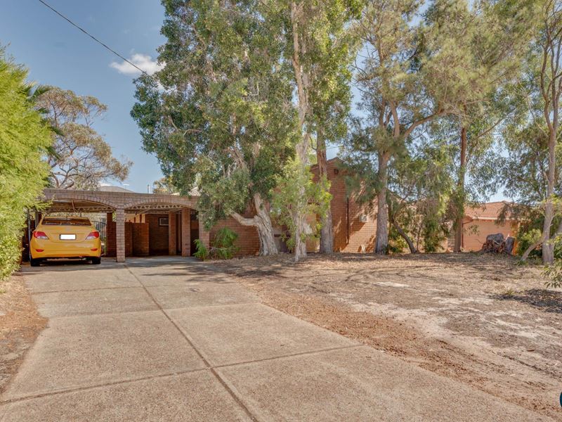 55 Wheatley Drive, Bull Creek WA 6149