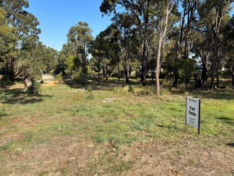 17 Park Street, Collie