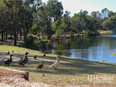 17 Park Street, Collie WA 6225