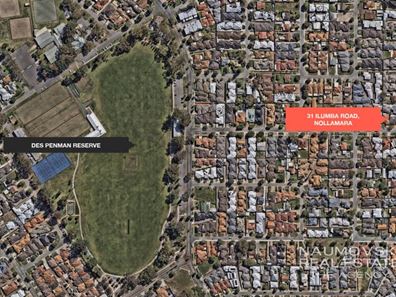31 Ilumba Road, Nollamara WA 6061