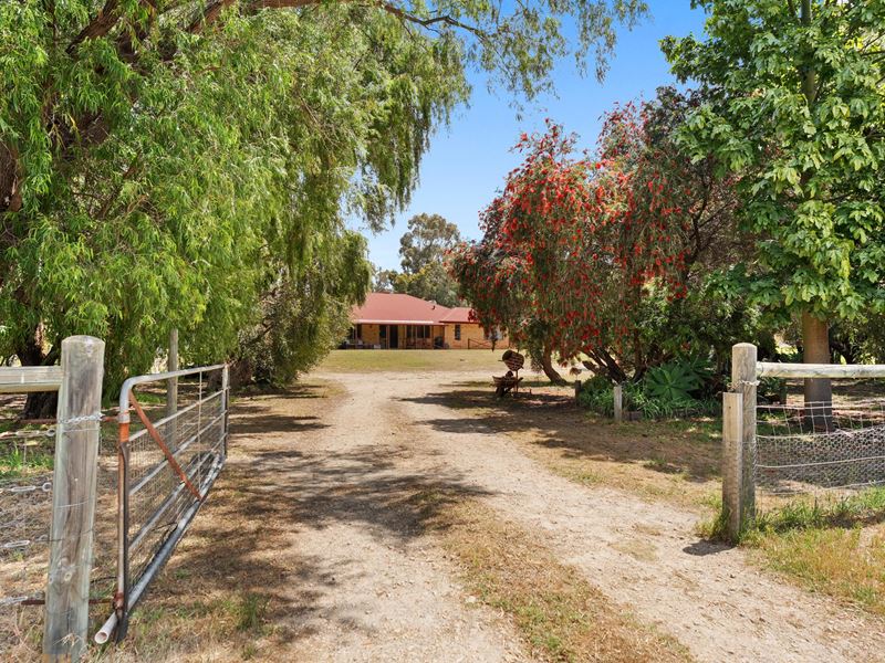41 Egerton Drive, Serpentine WA 6125