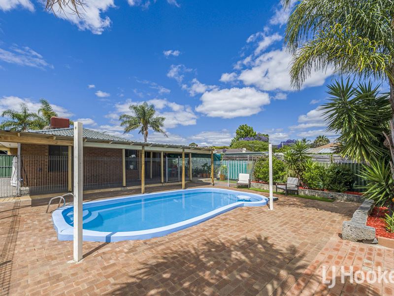 41 Pelham  Street, Armadale WA 6112