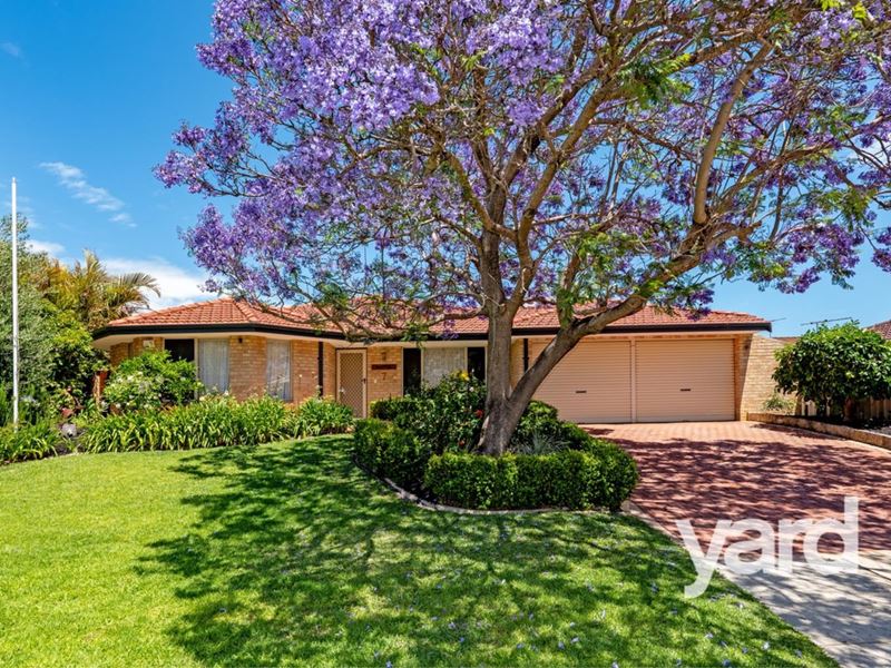 7 Mollica Court, Spearwood WA 6163