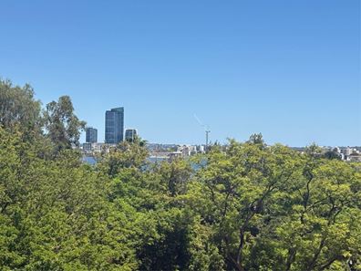 17/22 St Georges Terrace, Perth WA 6000
