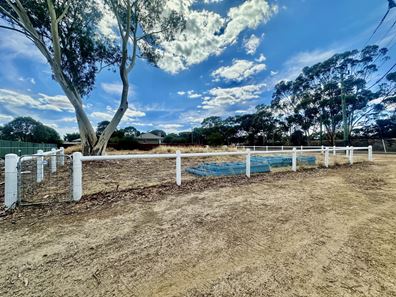 25 Round Drive, Katanning WA 6317
