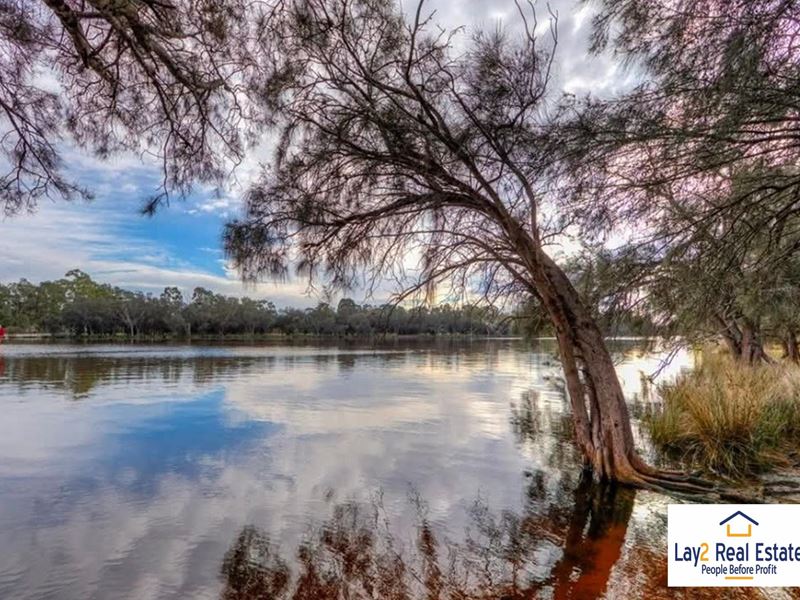 93 River View Avenue, South Guildford