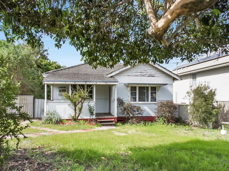 190 Wilding Street, Doubleview WA 6018