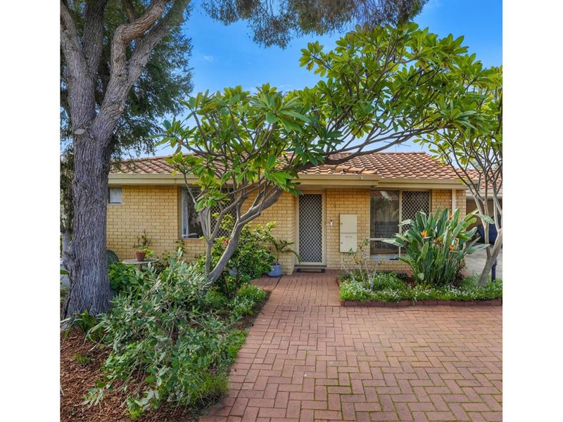 6/69 Hutton Street, Stirling