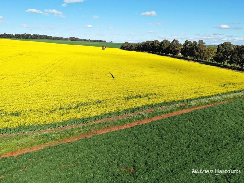 233 Mungedar Road, Badgingarra