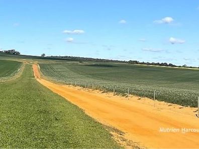233 Mungedar Road, Badgingarra WA 6521