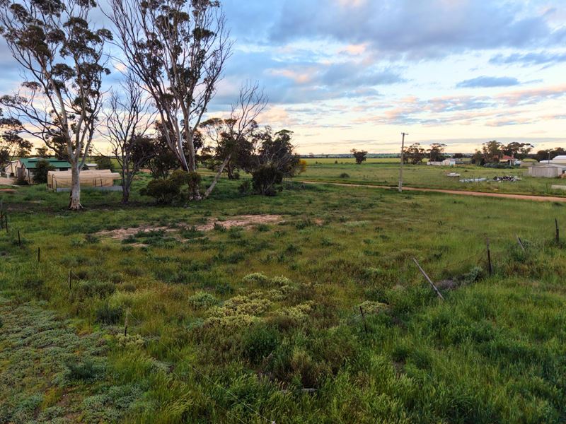 Lot 74 George Street, Doodlakine