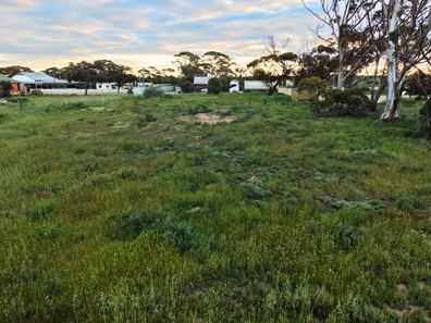 Lot 74 George Street, Doodlakine WA 6411