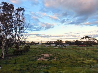 Lot 74 George Street, Doodlakine WA 6411