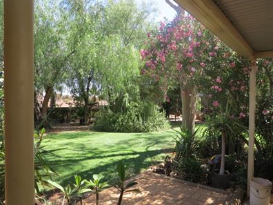 Youno Downs Station, Meekatharra WA 6642