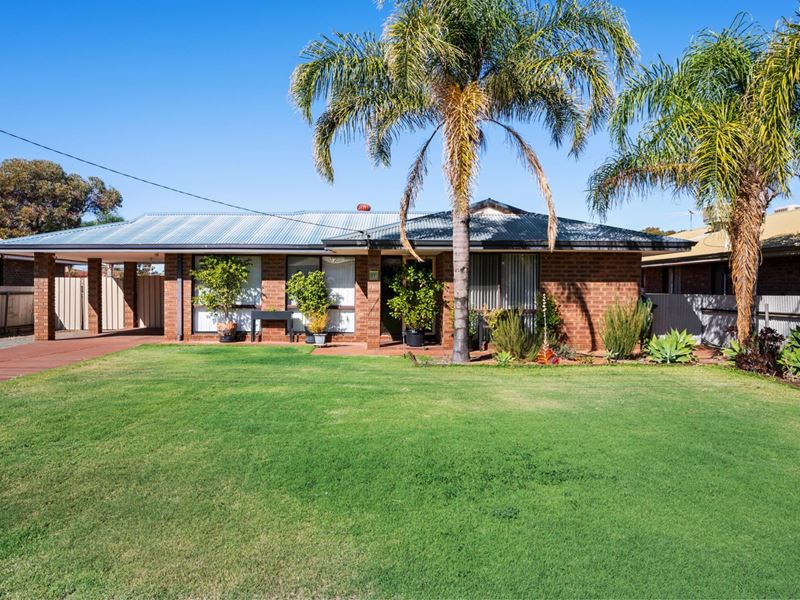 17 Robertson Street, West Lamington
