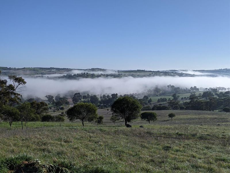 37 Whitelakes Drive, Dumbarton, Toodyay