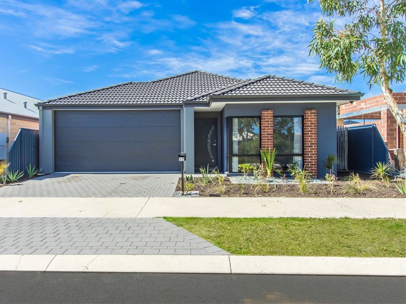 17 Macadamia Avenue, Baldivis