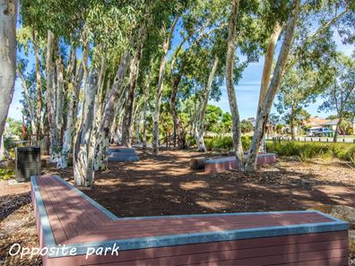 17 Macadamia Avenue, Baldivis WA 6171