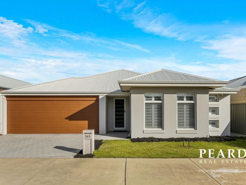 165 Honeywood Avenue, Wandi