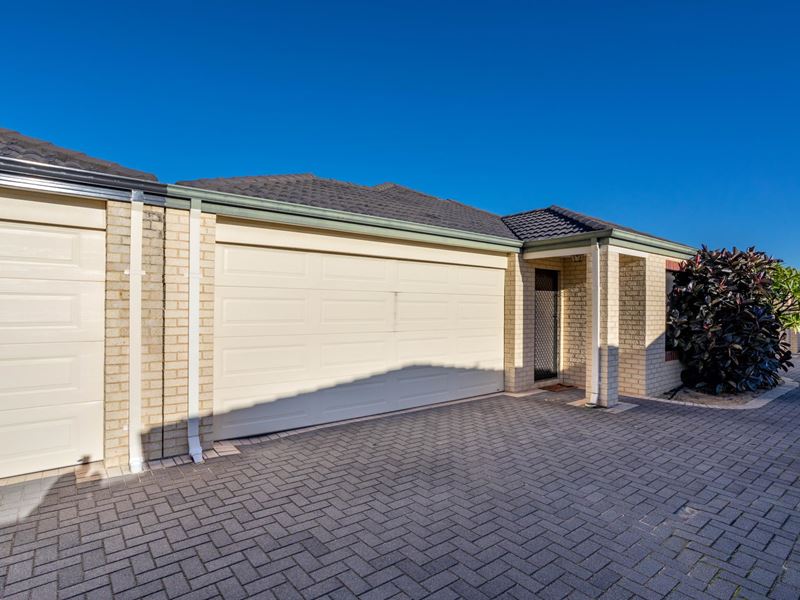 11/19 Milano Loop, Seville Grove