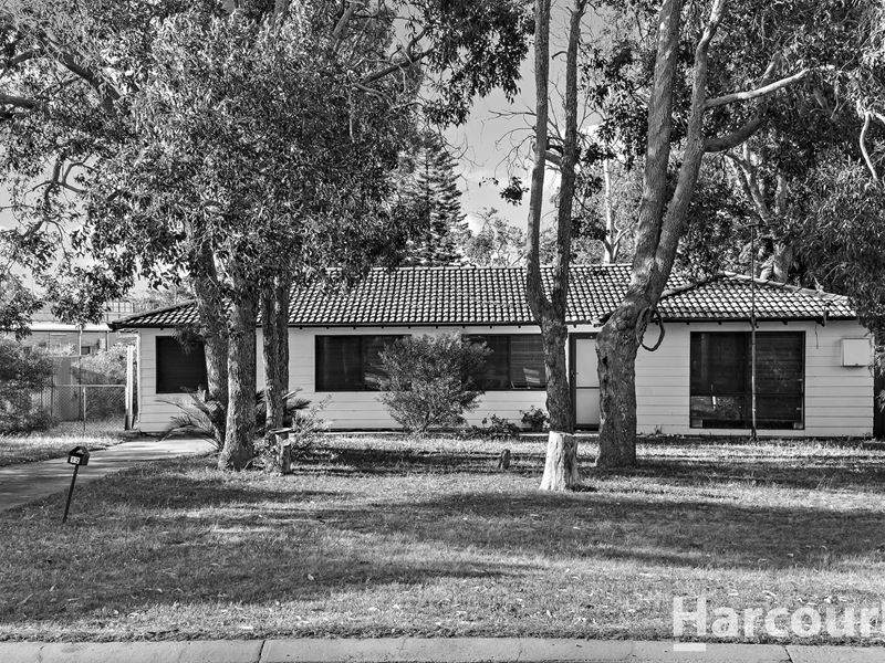 12 Olive Road, Falcon