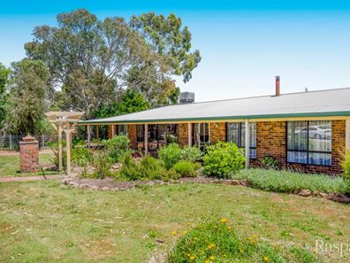 37 Gallipoli Drive, Greenmount WA 6056