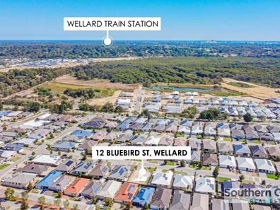 12 Bluebird Street, Wellard WA 6170