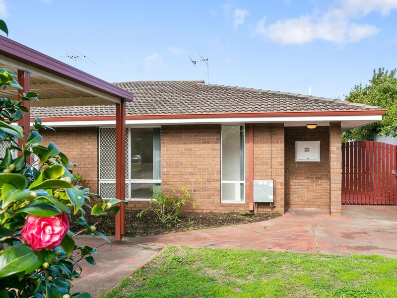 22 Hammad Street, Palmyra