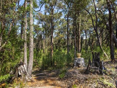 8 Orchid Place, Nannup WA 6275