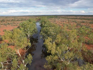 Cunyu Station, Wiluna WA 6646