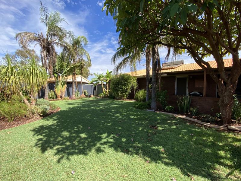 6 Waratah Crescent, Newman