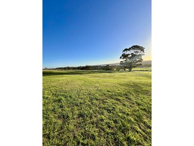 29 Overheu Drive, Kalgan WA 6330