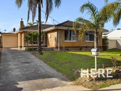 105 Odin Road, Innaloo WA 6018
