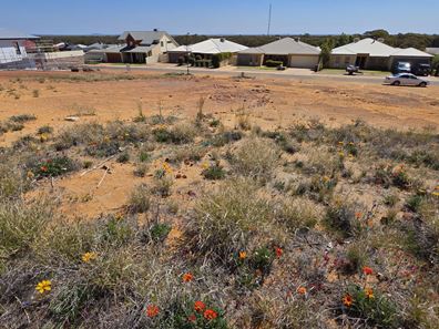 10 Pirring Way, Hannans WA 6430