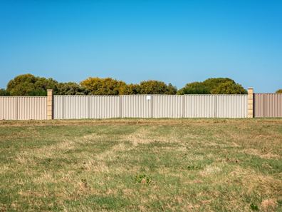 43 Eurithmic Link, Wandina WA 6530