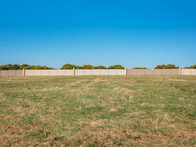 43 Eurithmic Link, Wandina WA 6530