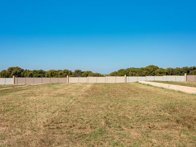 21 Eurithmic Link, Wandina WA 6530