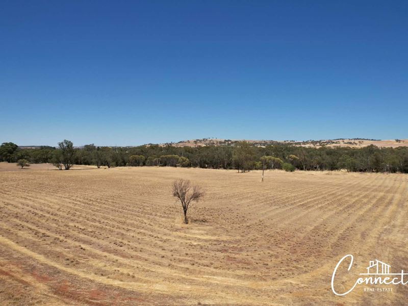 2 Top Beverley-York Road, Mount Hardey WA 6302