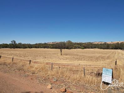 2 Top Beverley-York Road, Mount Hardey WA 6302