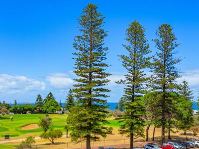 34 Forrest Street, Cottesloe WA 6011