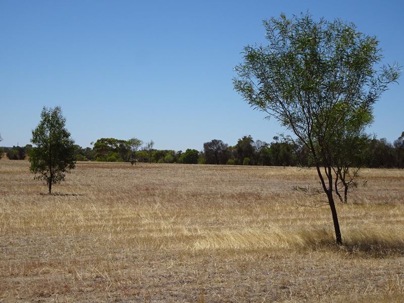 5 Realm Street, Pingelly