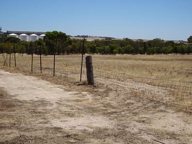 5 Realm Street, Pingelly WA 6308