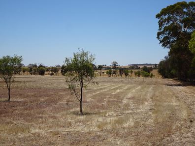 5 Realm Street, Pingelly WA 6308