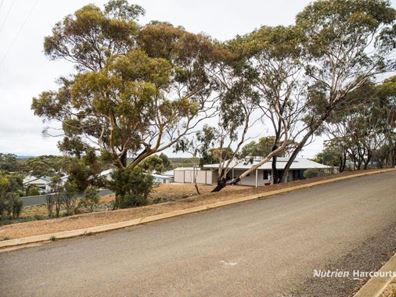3 Andre Street, Ravensthorpe WA 6346