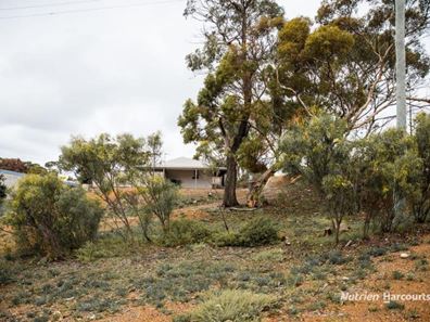 3 Andre Street, Ravensthorpe WA 6346