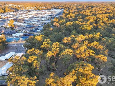 55 Yateley Way, Wellard WA 6170