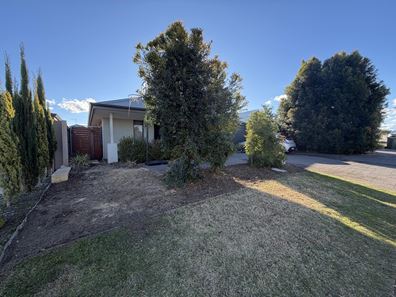 12A Wicklow Street, Ellenbrook WA 6069