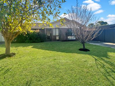 6 Radiata St, Coodanup WA 6210